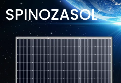 Spinozasol